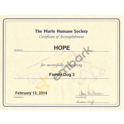 Family Dog 3 training certificate
