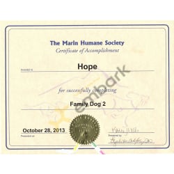 Family Dog 2 class certificate