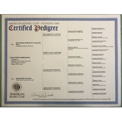 Certified pedigree