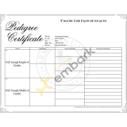 AGCA - Pedigree Certificate