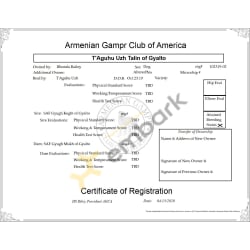 AGCA - Registration
