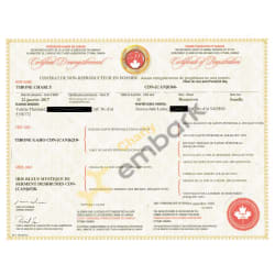 Certificate of registration from the Canine Federation of Canada