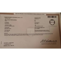 Eye certification