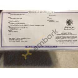 AKC Registration Certificate 