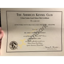 CGCU certificate