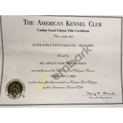 AKC CGC Title 
