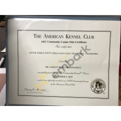 CGCA certificate