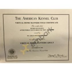 VHMA AKC Title 