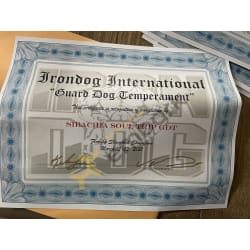 Irondog GDT