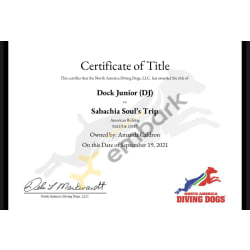 NADD Dock Junior Title