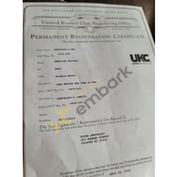UKC registration 