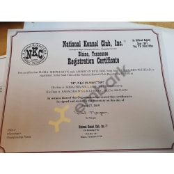 NKC registration 