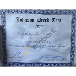 Protection Certificate 
