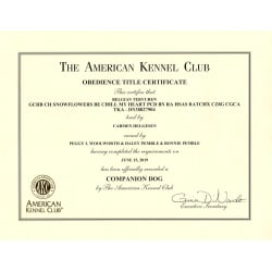 AKC CD Title
