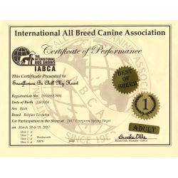 Tuarie earns 4 days of Best of Breed IABCA show March 2017