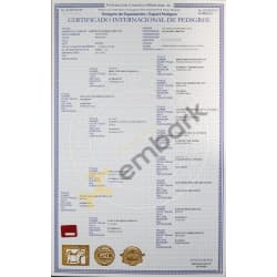 FCM PEDIGREE