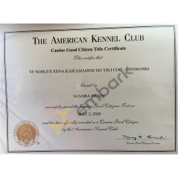 CGC Title