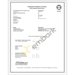 OFA Elbows Certified