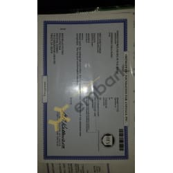OFA certification for hips