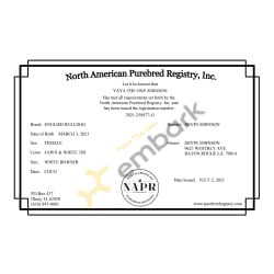 NAPR Certificate 