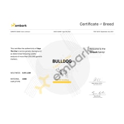 Certificate of Breed 