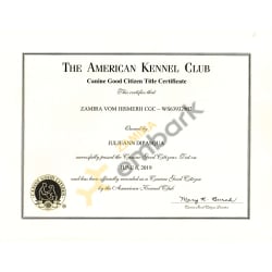 Good Citizen Title Certificate 2019