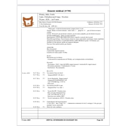Rapport médical page 2 du 11 Novembre 2021