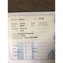 Carnet de santé 